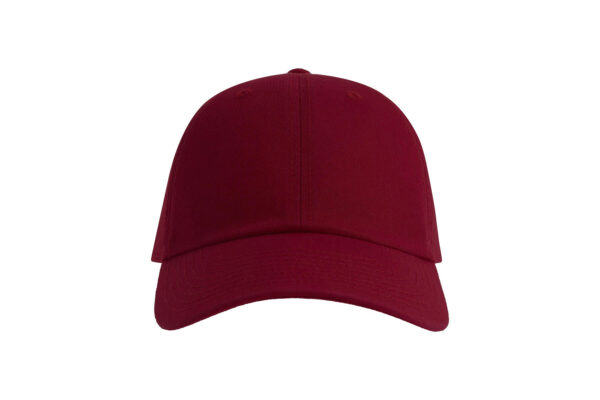 Atlantis DAD HAT - Cap - Image 7