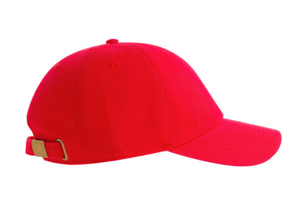 Atlantis DAD HAT - Cap - Image 5